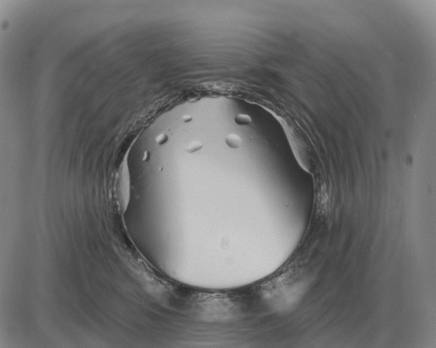 X0000083020424200702231843