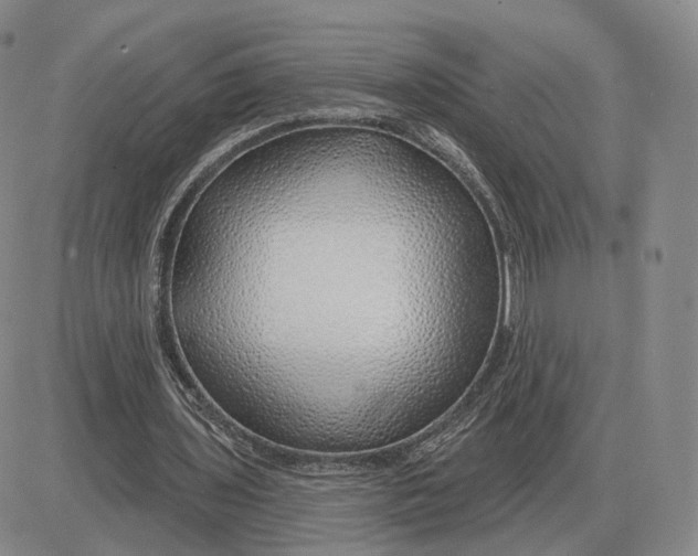 X0000083020435200702231842