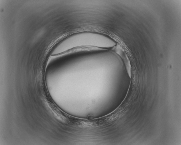 X0000083020442200702231842