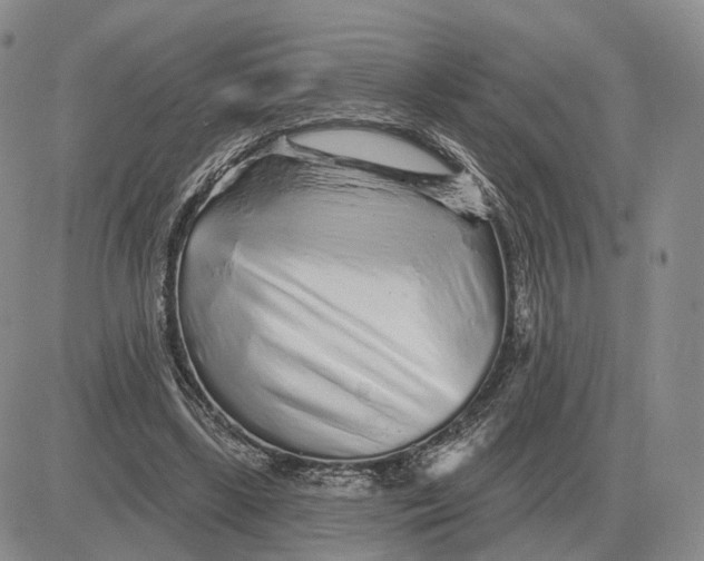 X0000083020443200702231842