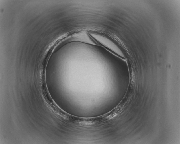 X0000083020444200702231842
