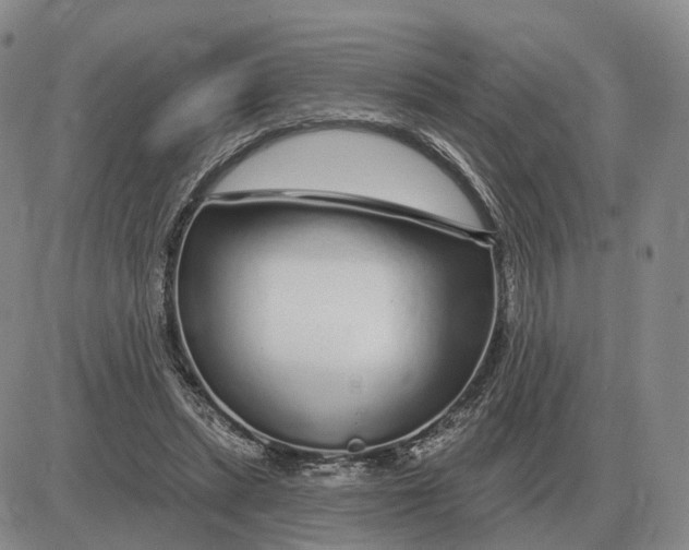 X0000083020447200702231842