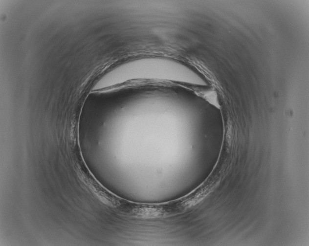 X0000083020449200702231842