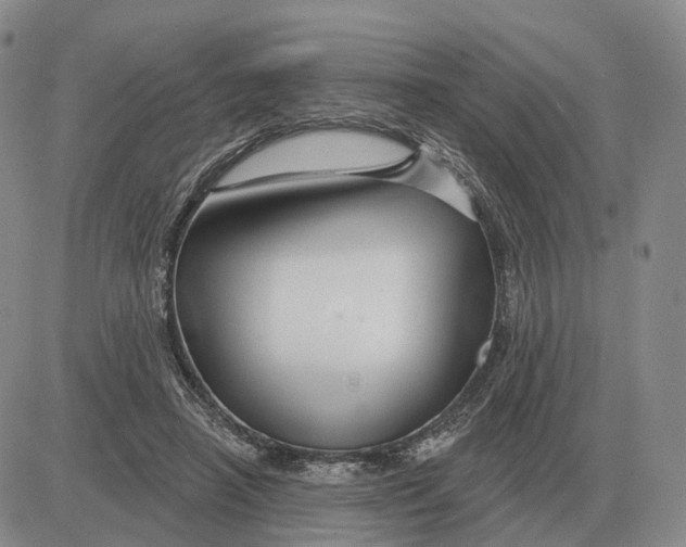 X0000083020450200702231842