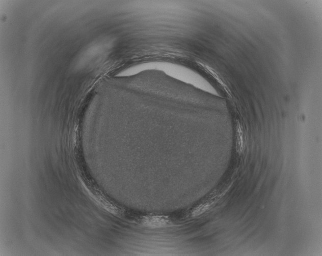 X0000083020451200702231842