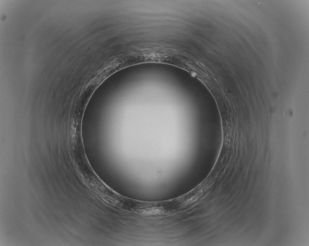 X0000083020456200702231842