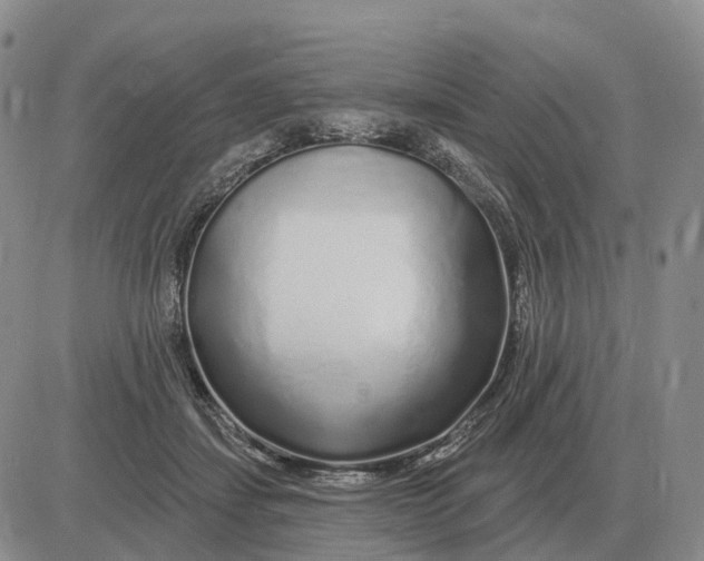 X0000083020459200702231842