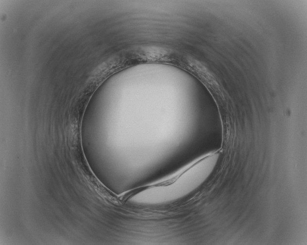 X0000083020461200702231842