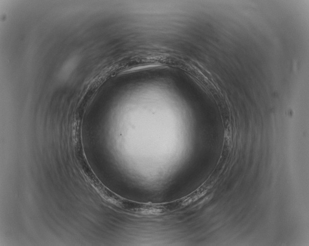 X0000083020462200702231842