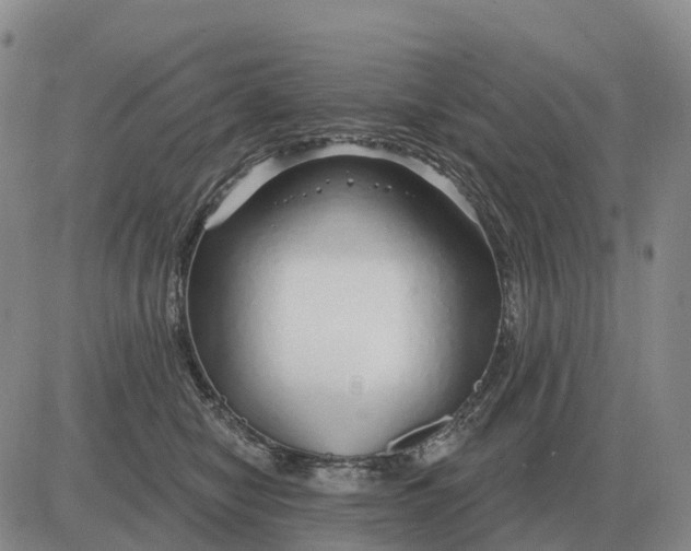 X0000083020470200702231842