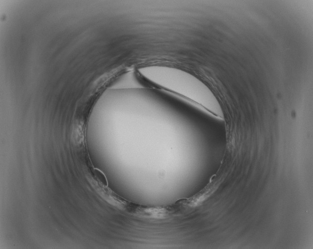 X0000083020478200702231842