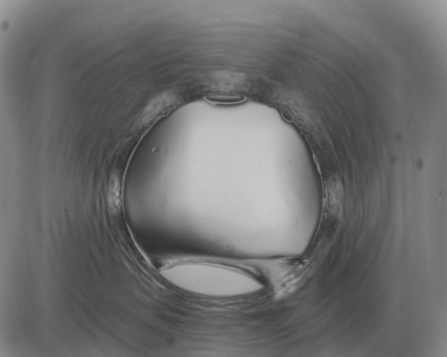 X0000083020479200702231842