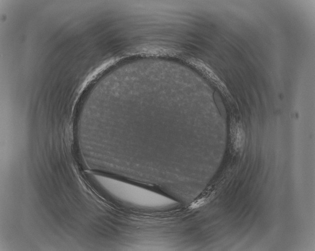 X0000083020488200702231842