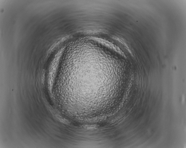 X0000083020495200702231841