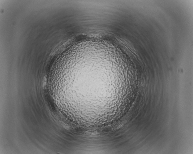 X0000083020502200702231841