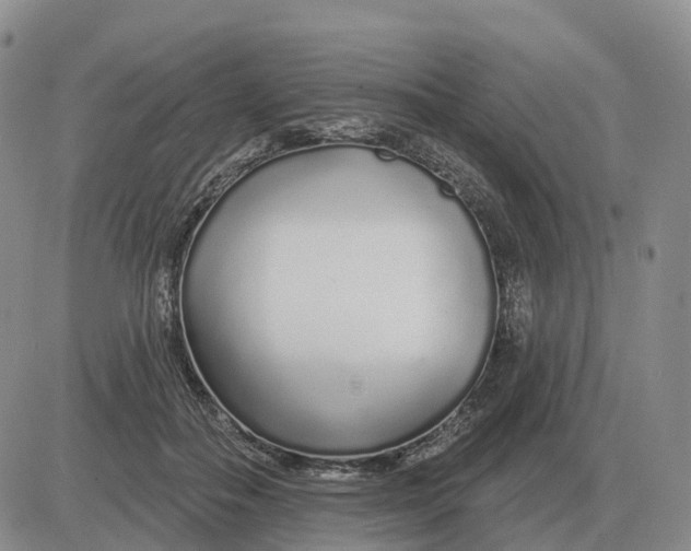 X0000083020506200702231841