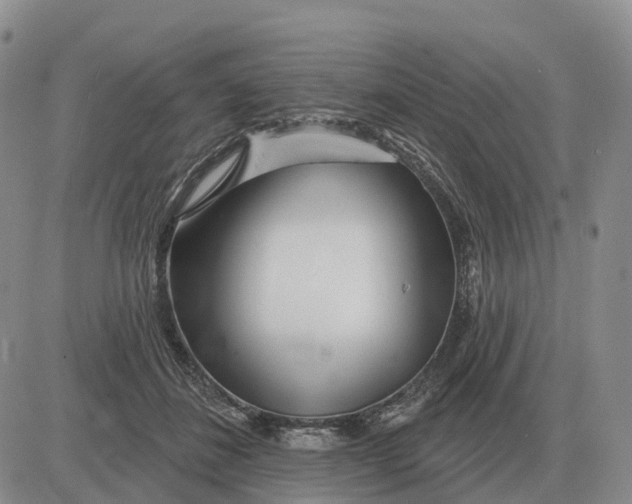 X0000083020508200702231841