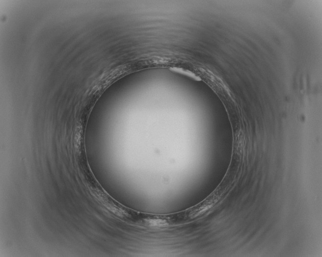 X0000083020509200702231841
