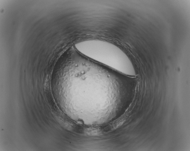 X0000083020511200702231841