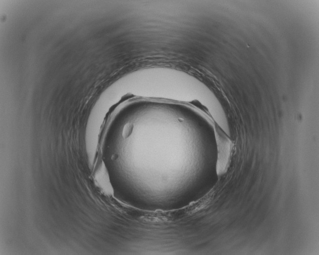 X0000083020512200702231841