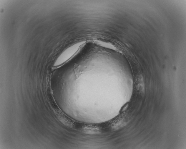 X0000083020515200702231841