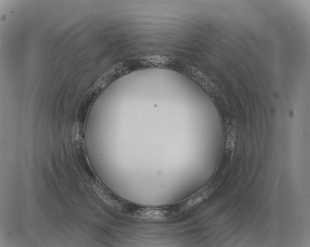 X0000083020518200702231841
