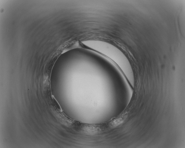 X0000083020521200702231841