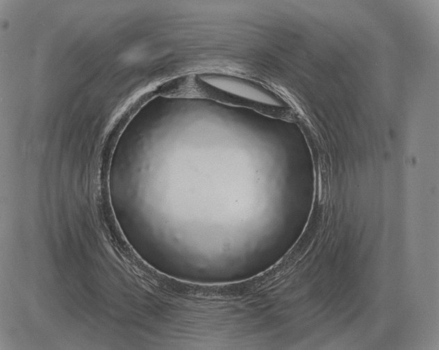 X0000083020531200702231840