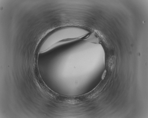 X0000083020540200702231840