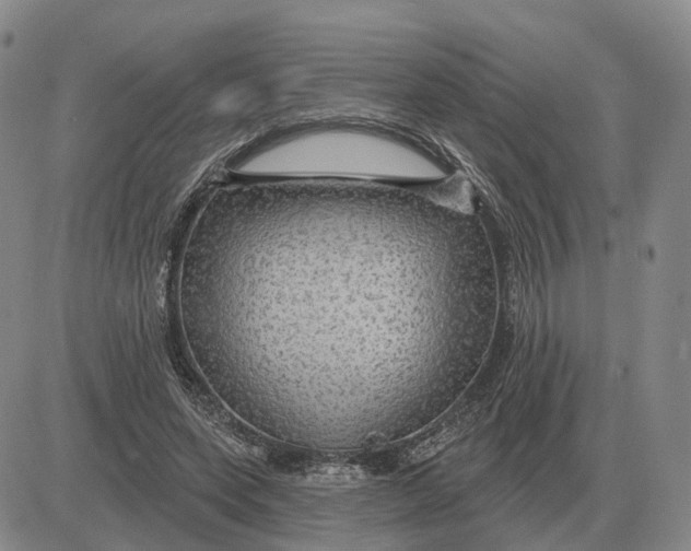 X0000083020543200702231840