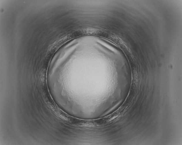 X0000083020545200702231840