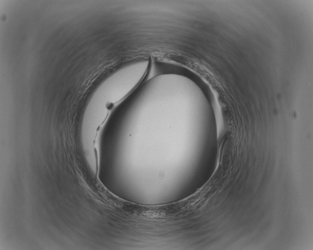 X0000083020546200702231840