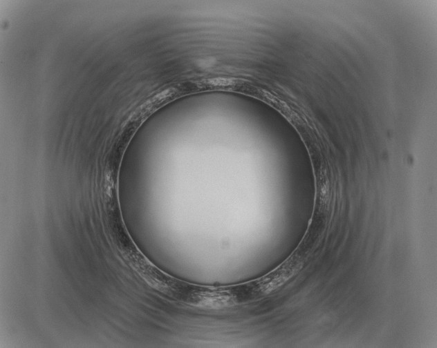X0000083020555200702231841