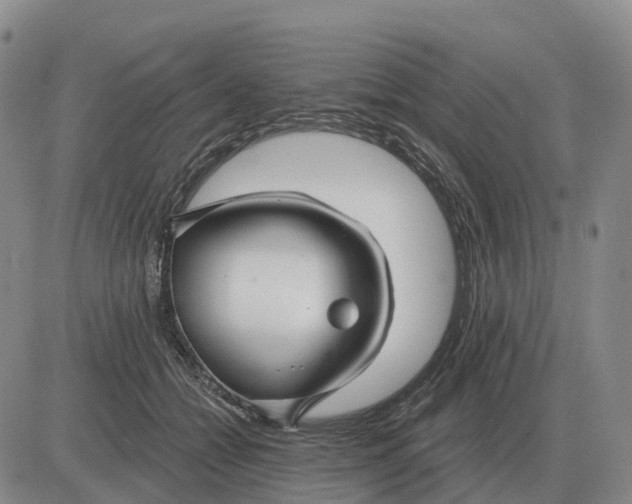 X0000083020558200702231841