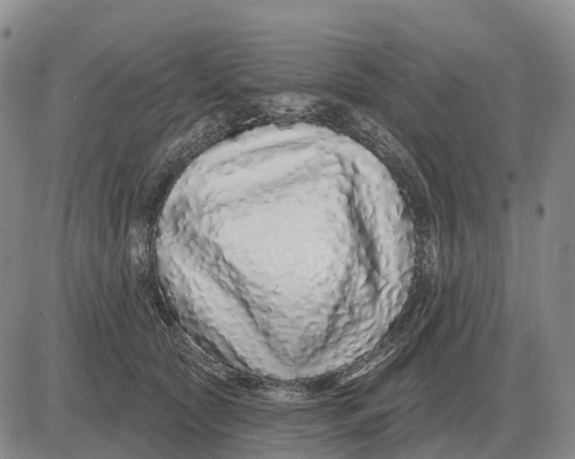X0000083020561200702231841
