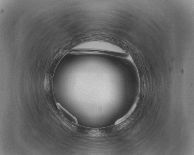 X0000083020562200702231841
