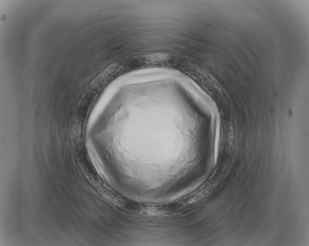 X0000083020565200702231841