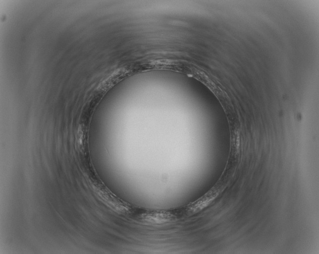 X0000083020567200702231841
