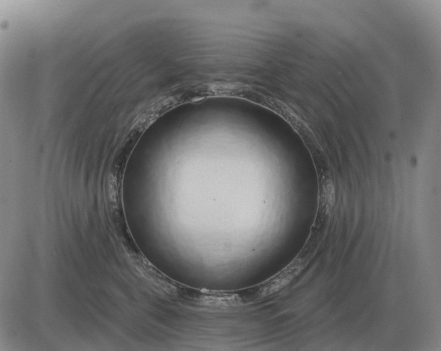 X0000083020571200702231841