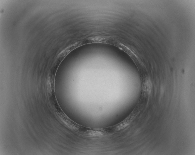 X0000083020572200702231841