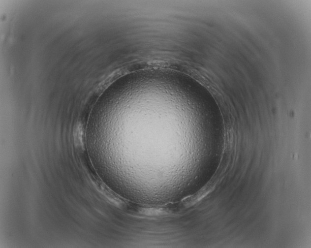 X0000083020575200702231841