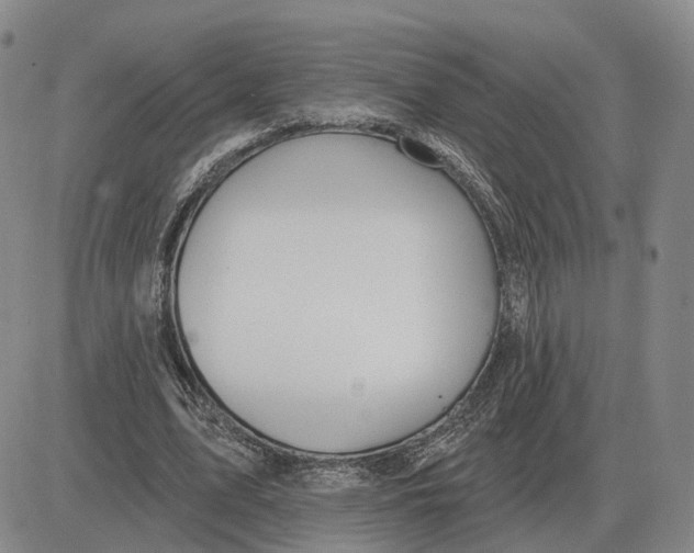 X0000083020583200702231840