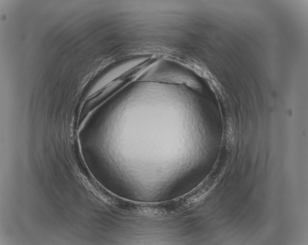 X0000083020585200702231840