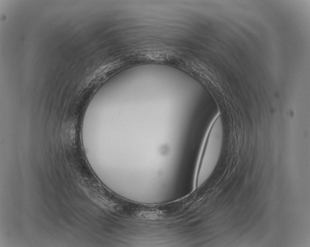 X0000083020595200702231840