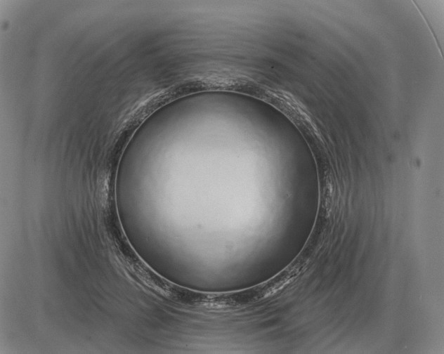 X0000083020596200702231840