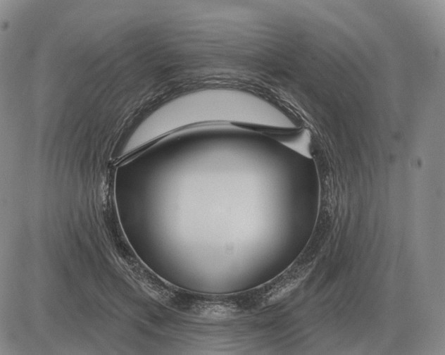 X0000083020597200702231840