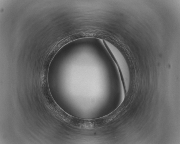 X0000083020600200702231840