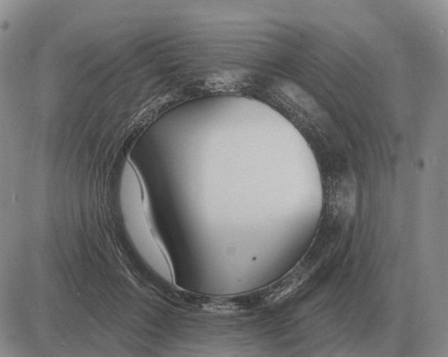 X0000083020603200702231840