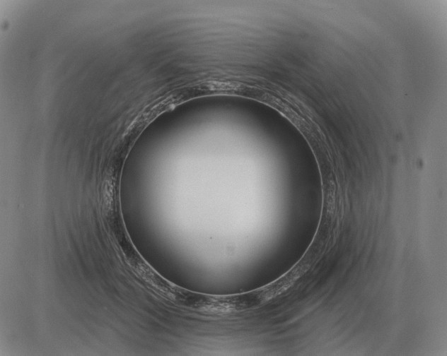 X0000083020604200702231840