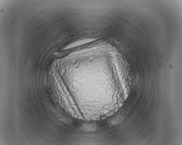 X0000083020606200702231840